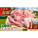 鶏肉 セット 五島しまさざなみ まるごと1羽分セット