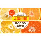 みかん 柑橘類 柑橘食べくらべ定期便 全4回 計20kg