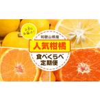 みかん 柑橘類 訳あり 柑橘食べくらべ定期便