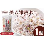 雑穀 国内産 美人雑穀米 250g×1個