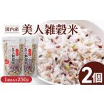 雑穀 国内産 美人雑穀米 250g×2個