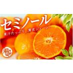 みかん 柑橘類 オレンジ 2027年4月上旬~5月下旬頃に