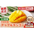 マンゴー 化粧箱入り 先行受付 2027年発送