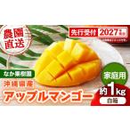 マンゴー 先行受付 2027年発送 なか果樹園