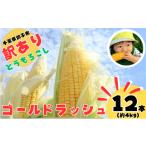 とうもろこし 訳あり 12本