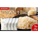 令和8年産 コシヒカリ玄米20kg 米 お米