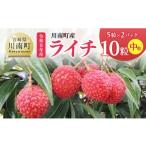 果物類 令和9年産 産ライチ10粒 5粒×2パック