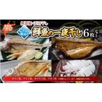 イカ 無添加 天日干し ピチピチ朝獲れ鮮魚の天日干し 6枚
