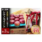 りんご 27年4月~クール便発送 シナノスイート 約3kg