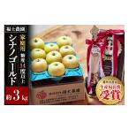 りんご 27年4月~クール便発送 シナノゴールド 約3kg