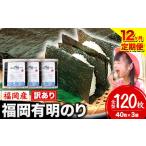 肉 12ヶ月定期便 有明海苔 全型 120枚