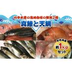 魚貝類 鯛 竹中水産の当地自慢の鮮魚2種