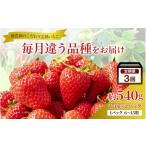 いちご 3回定期 毎月違う品種をお届け 奈良