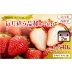 いちご 2回定期 毎月違う品種をお届け 奈良