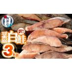 魚貝類 鮭 a20-488 訳あり 天然 白鮭