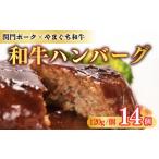 肉 ハンバーグ 和牛 120g