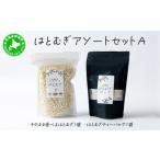 加工品等 アソートセットA そのまま食べるはとむぎ+はとむ…