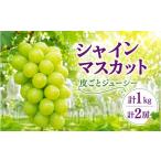 ぶどう マスカット シャインマスカット 種なし 約500g