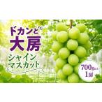 ぶどう マスカット シャインマスカット 種なし