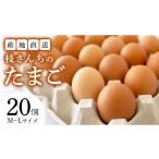 卵 鶏 烏骨鶏等 枝さんちのたまご M~L20個