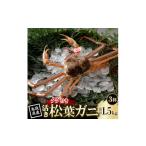 カニ タグ付き 活 松葉がに 500g×3杯
