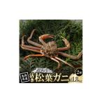 カニ 訳あり 活 松葉がに 900g×2杯