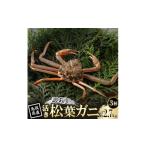 カニ 訳あり 活 松葉がに 900g×3杯