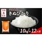 米 きぬむすめ 令和8年産 新米 10kg