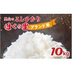 里山のこしひかり ほくの里 10kg