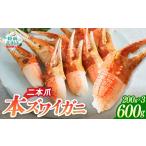 エビ カニ等 カニ 本ズワイガニ 爪肉 300g×2パック