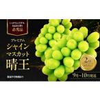 ぶどう マスカット 2026年 赤秀ぶどう