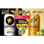 ビール 定期便全2回 ビール飲み比べ2種各350ml×24本