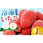 いちご 訳あり 冷凍いちご 1kg