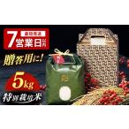 米 茶 オリジナル手提げ箱 とくべつの中の