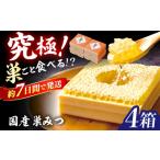 加工品等 はちみつ 巣みつ 300g×4箱