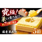 加工品等 はちみつ 巣みつ 300g×5箱