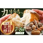 パン RENZO ハード系パン 7~8種セット