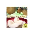 梨 プレミアム王秋梨 約5kg_王秋梨 和梨