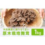 fu.... налог овощи вид .. . Gifu префектура высота гора город 9~10 месяц отправка . дерево культивирование Mai .1kg | Mai ..... местного производства овощи ..... .. пол культивирование . дерево культивирование небо .... включая рис...