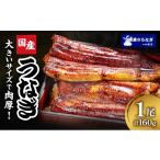 うなぎ 蒲焼 3種