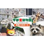 入場券 優待券 宇都宮動物園 年間パスポート