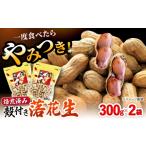 豆類 落花生 殻付き 合計約600g 300g×2袋
