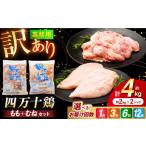 鶏肉 モモ チョイス 3回定期便 四万十鶏のもも肉とむね肉