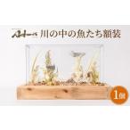 インテリア 川の中の魚たち額装