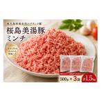 豚肉 ハンバーグ A1-0442 桜島美湯豚