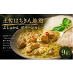 土佐はちきん地鶏 グリーンカレー 9箱