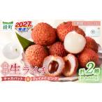 果物類 希少 綾 生ライチ 2箱セット 2種類