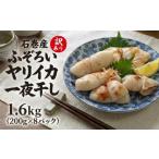 干物 イカ 訳あり 石巻産 ふぞろい ヤリイカ