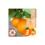 みかん 柑橘類 先行受付 愛咲果樹園 プリンセス