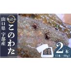 魚貝類 このわた 宇部産 80g×2
